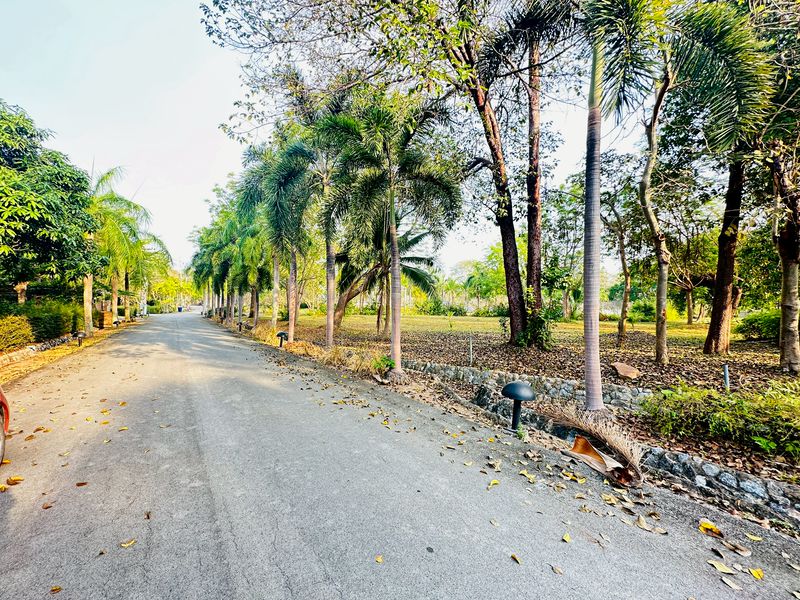 ขายที่ดินแปลงสวย พร้อมสร้างบ้าน 5