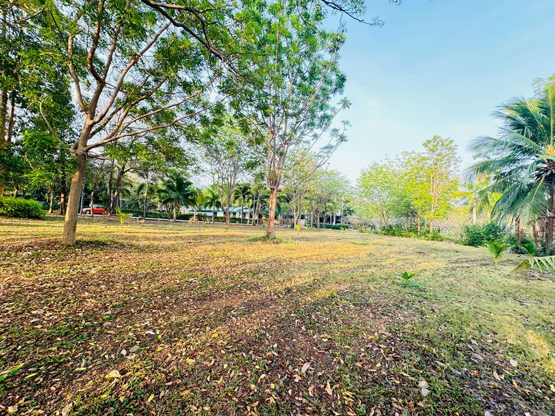 ขายที่ดินแปลงสวย พร้อมสร้างบ้าน 12