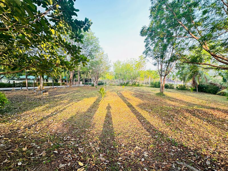 ขายที่ดินแปลงสวย พร้อมสร้างบ้าน 9