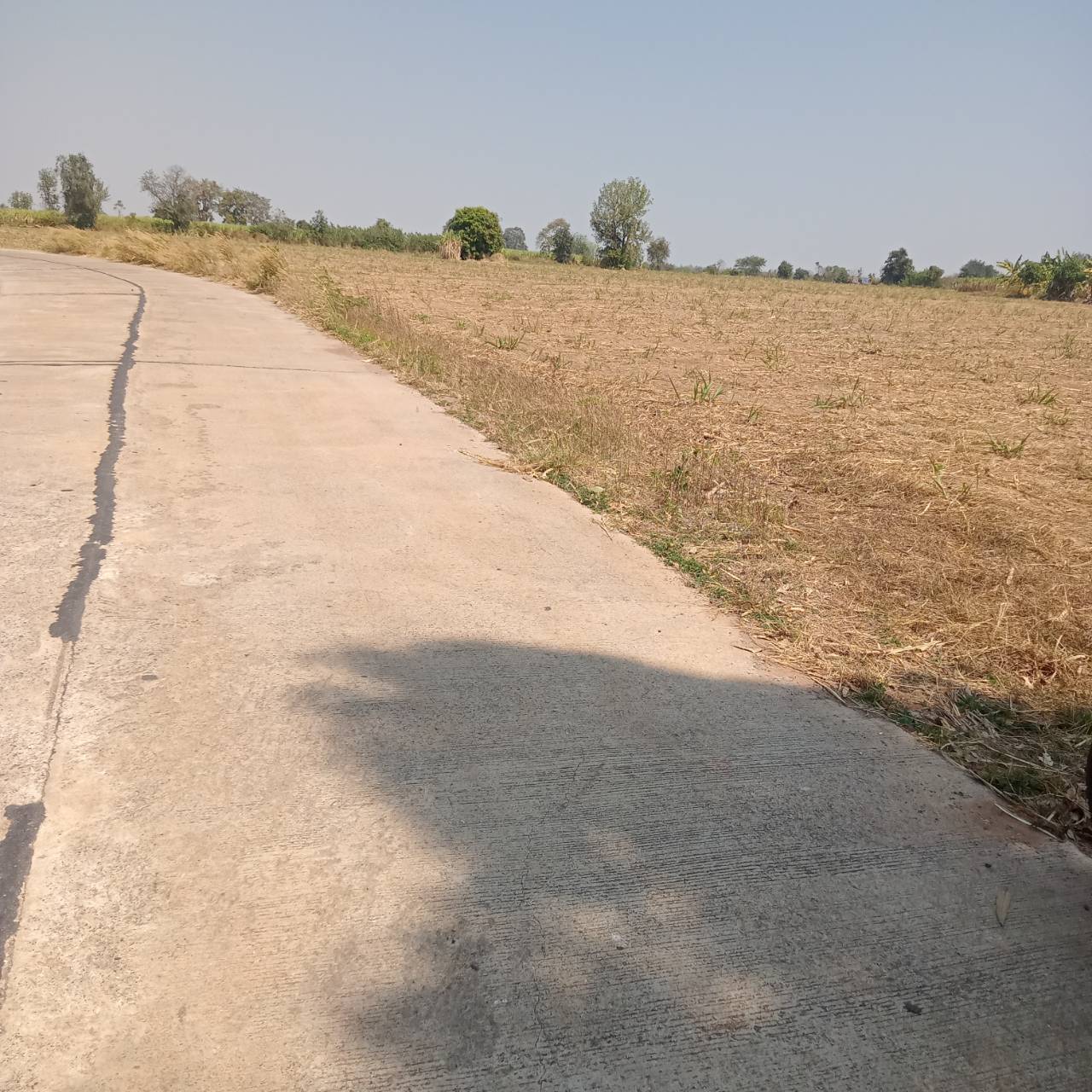 ขายที่ดินแปลงสวย ต.โนนค่า อ.สูงเนิน จ.นครราชสีมา 2