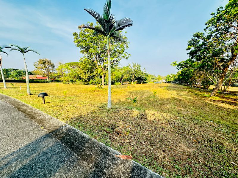 ขายที่ดินแปลงสวย พร้อมสร้างบ้าน 2