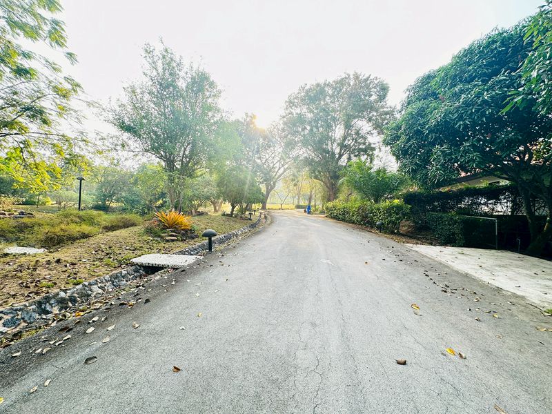 ขายที่ดินแปลงสวย พร้อมสร้างบ้าน 4