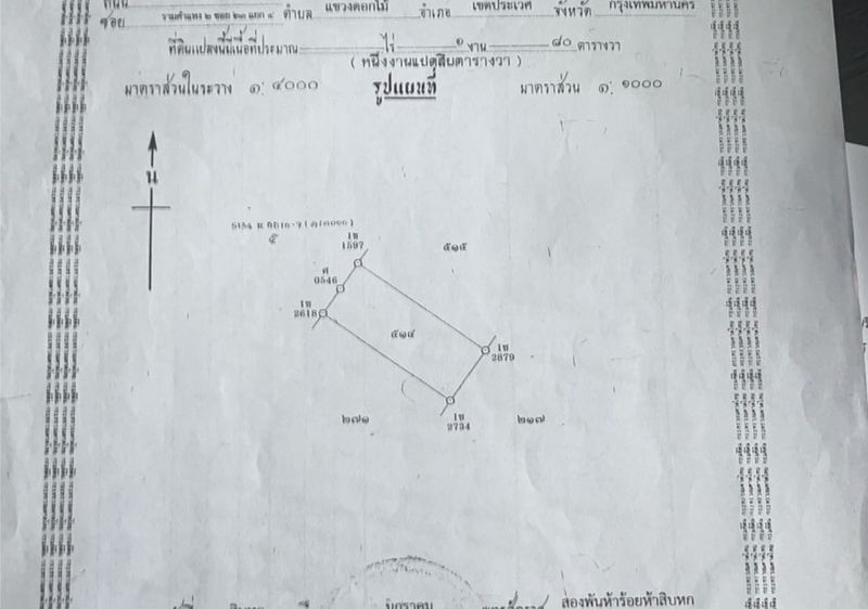 ขายที่ดินบางเสร่ (ฝั่งเขา) – ทำเลสวย วิวเขาเด่น สัตหีบ ชลบุรี 4