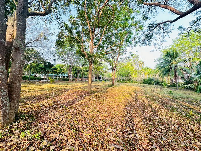 ขายที่ดินแปลงสวย พร้อมสร้างบ้าน 10