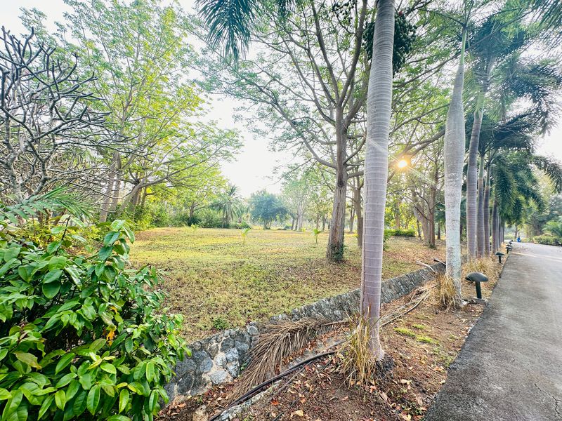 ขายที่ดินแปลงสวย พร้อมสร้างบ้าน 14