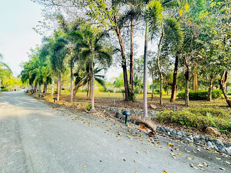 ขายที่ดินแปลงสวย พร้อมสร้างบ้าน 6