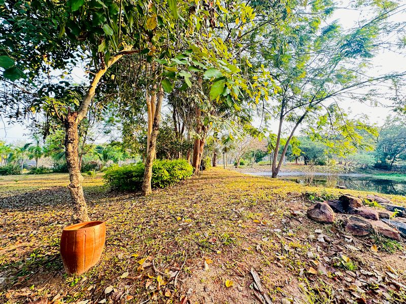 ขายที่ดินแปลงสวย พร้อมสร้างบ้าน 8