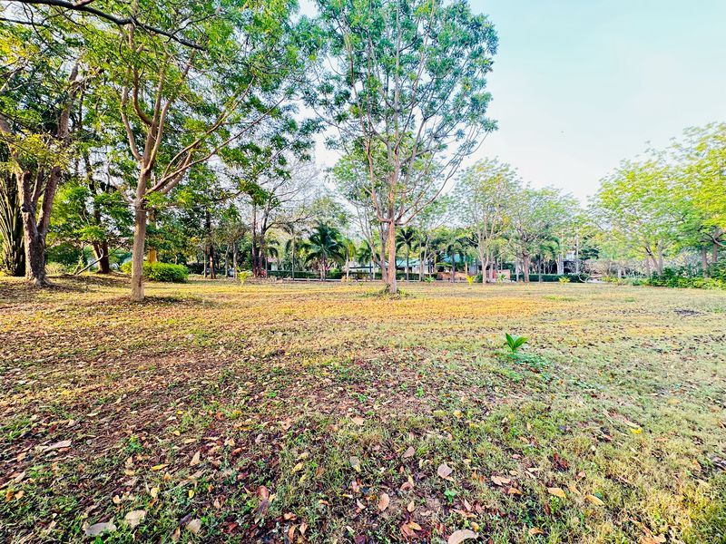 ขายที่ดินแปลงสวย พร้อมสร้างบ้าน 13