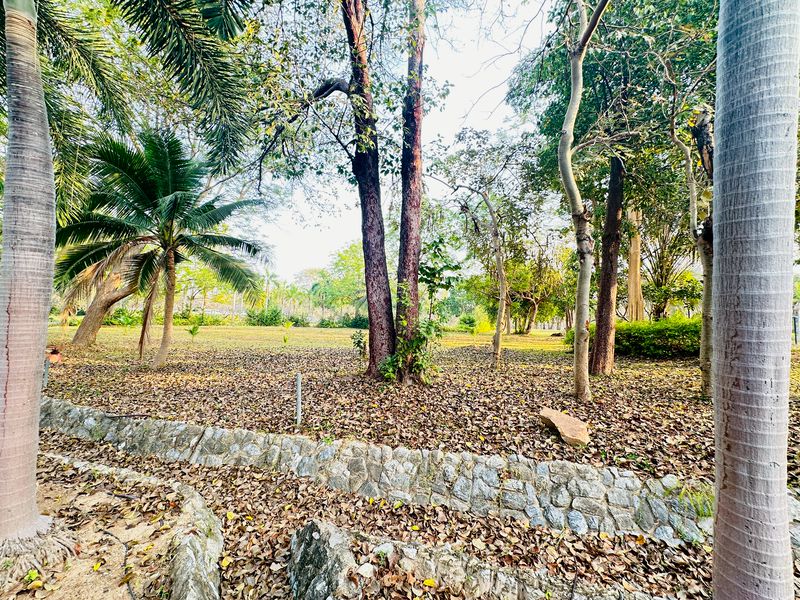 ขายที่ดินแปลงสวย พร้อมสร้างบ้าน 7